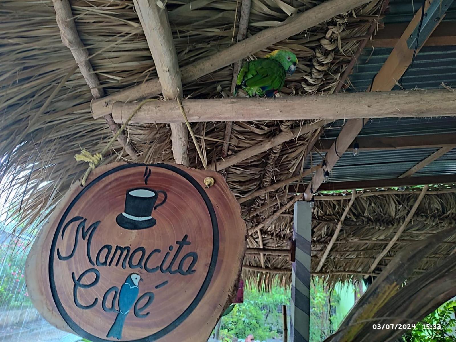 מלון מויוגאלפה Mamacita Cafe House מראה חיצוני תמונה