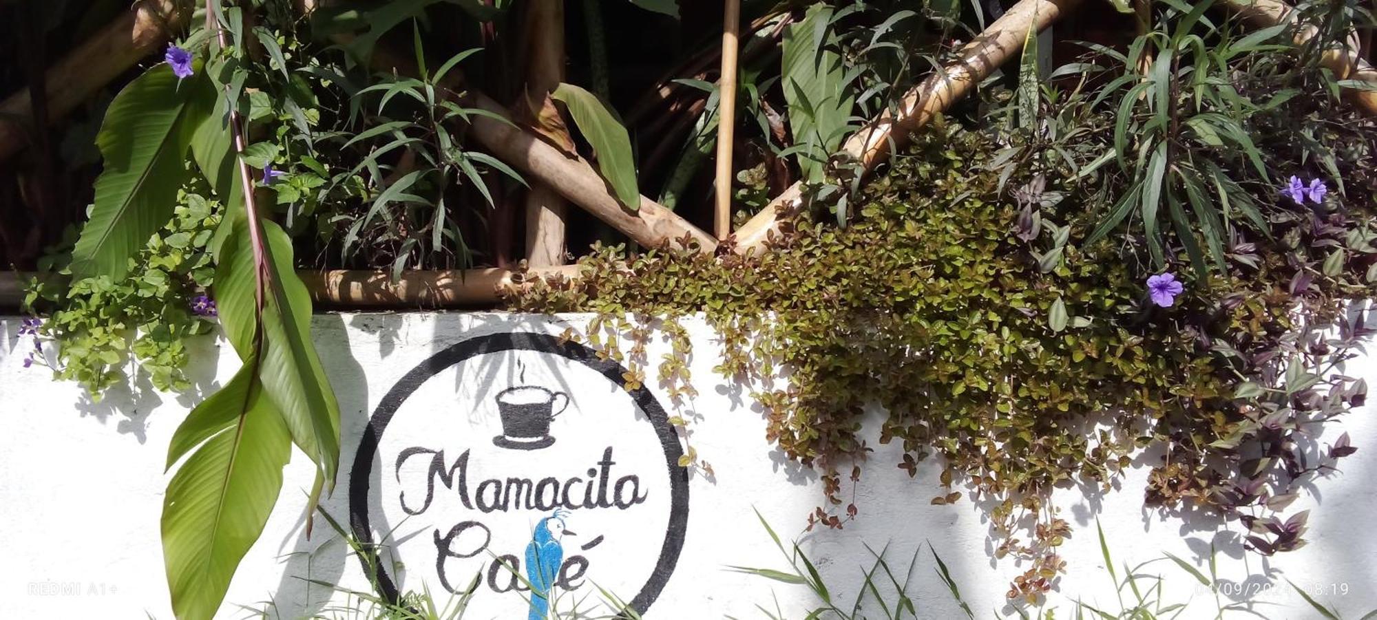 מלון מויוגאלפה Mamacita Cafe House מראה חיצוני תמונה